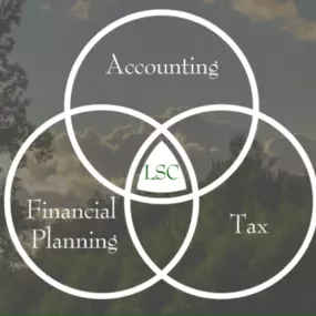 We provide top-notch accounting, tax strategy, and financial planning services tailored to the unique needs of small businesses. We can streamline your financial processes, ensuring you're equipped for success. Visit our website to see how we can help.