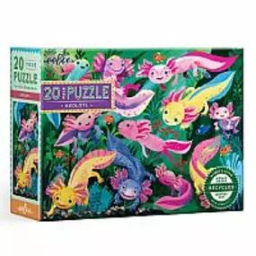 Big puzzle pieces for little fingers!  The Axolotl 20 Piece Puzzle is the perfect puzzle set for your child's very first learning experience.  This set features an adorable, extremely endangered salamanders known as the Axolotl.  Axolotls are found only in two lakes in southern Mexico City.  Unlike most amphibians, axolotls do not undergo metamorphosis, retaining their feathery gills and living their whole lives in water.  Completed puzzle size is 11