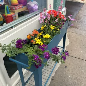 Planted up the flowers for this season! They always start out so great and then things start dying or the aphids show up ????‍???? ???? … send me all your happy-plant vibes and container gardening tips, please!