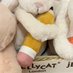 Hard to imagine that I could get so excited about a stuffed bunny but here we are and I’m not mad. #jellycatbunny