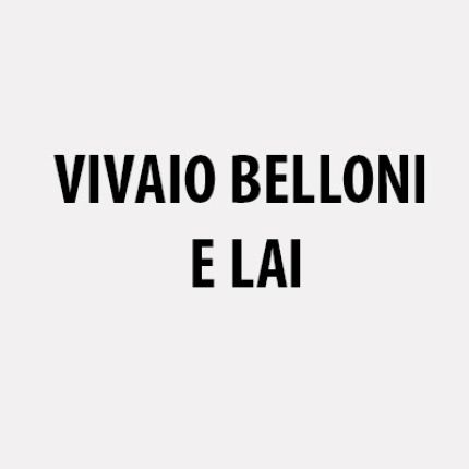 Logo od Vivaio Belloni e Lai