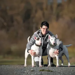 Bild von Leinelos Hundetraining