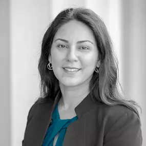 Attorney Vahishta Falahati - Of Counsel