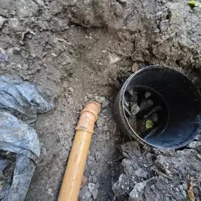 Bild von Mint Construction & Maintenance Ltd