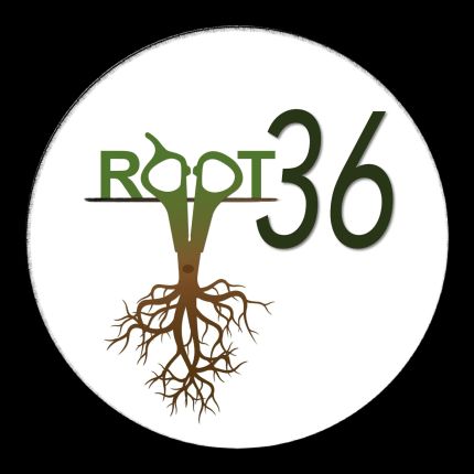 Logotyp från Root36 Salon