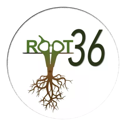 Logo od Root36 Salon