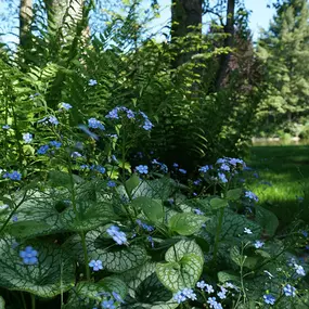 Bild von Gerd Heimrich Garten-Center