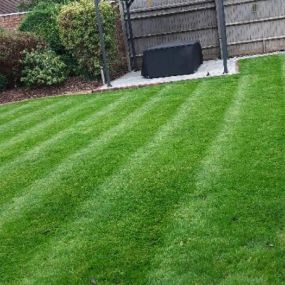 Bild von Phil Taylor Grass Cutting and Garden Services