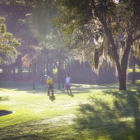 Bild von Innisbrook, A Salamander Golf & Spa Resort