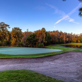 Bild von Innisbrook, A Salamander Golf & Spa Resort