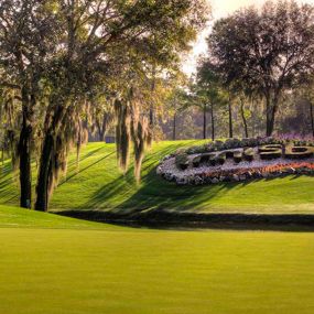 Bild von Innisbrook, A Salamander Golf & Spa Resort