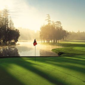 Bild von Innisbrook, A Salamander Golf & Spa Resort