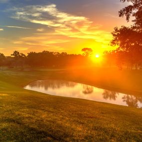 Bild von Innisbrook, A Salamander Golf & Spa Resort