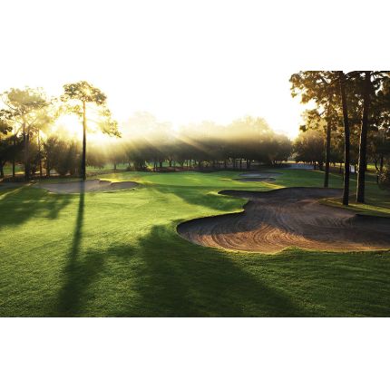 Logótipo de Innisbrook, A Salamander Golf & Spa Resort