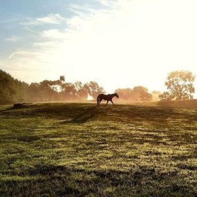 Salamander Resort & Spa