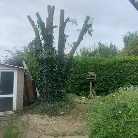 Bild von Ark Arborists Ltd
