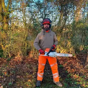 Bild von Ark Arborists Ltd