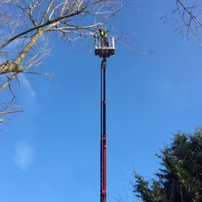 Bild von Ark Arborists Ltd