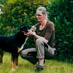 Bild von Coaching für Menschen mit Hund