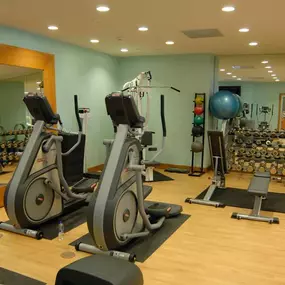 Health club  fitness center  gym