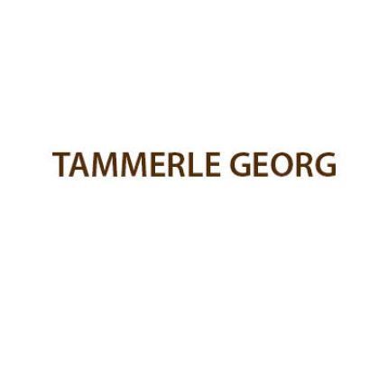 Logo von Tammerle Georg