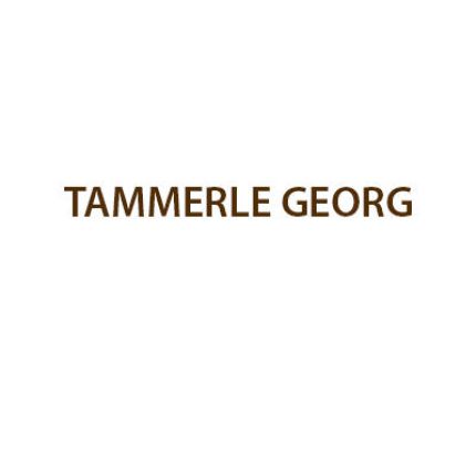 Logo fra Tammerle Georg