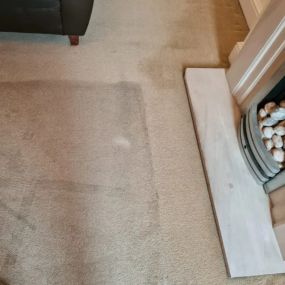 Bild von CASE Carpet Cleaning