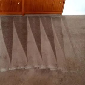 Bild von CASE Carpet Cleaning