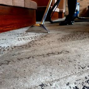 Bild von CASE Carpet Cleaning