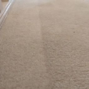 Bild von CASE Carpet Cleaning