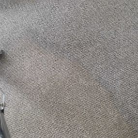 Bild von CASE Carpet Cleaning