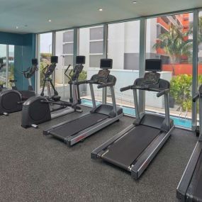 Health club  fitness center  gym