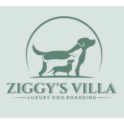 Logo fra Ziggy's Dog Villa
