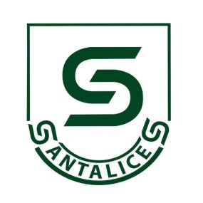 logoacademiasantalicesconnombre.jpg