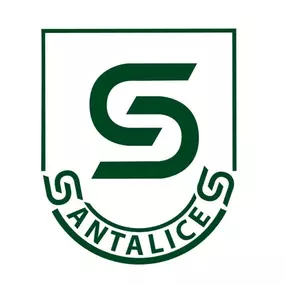 logoacademiasantalicesconnombre.jpg