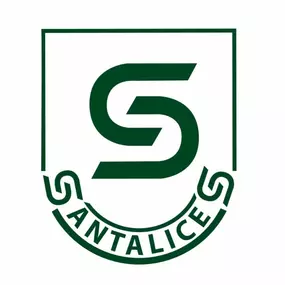 logoacademiasantalicesconnombre.jpg