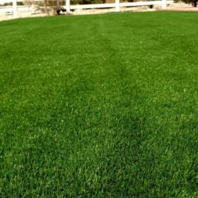 dallas turf company