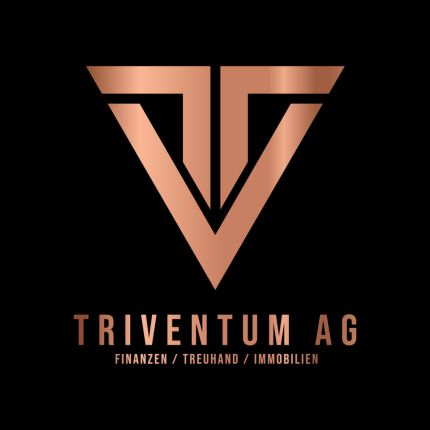 Logotyp från Triventum AG Treuhand & Finanzen