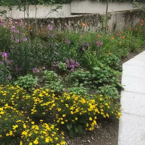 Bild von Stern Gartenbau AG