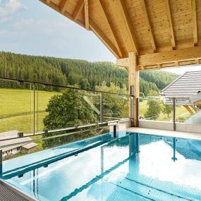 Ferienwohnung mit Pool im Schwarzwald
