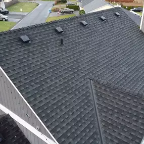 proficient roof cleaning service in tacoma wa