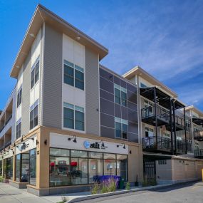 Bild von 770 Elmwood Apartments