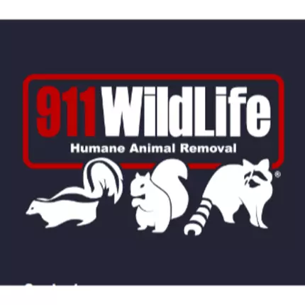 Logo od 911 Wildlife