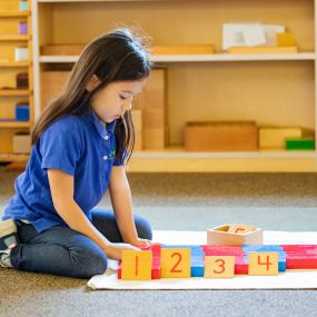 Traditional Montessori curriculum