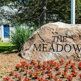 Bild von Meadows