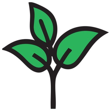 Λογότυπο από Life Bloom Dental
