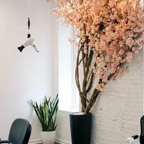 Experience Chic & Modern Hair Design in Hoboken, NJ - BOND Salon