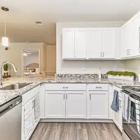 Apartment kitchen
