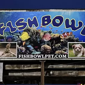 Bild von Fish Bowl Aquarium and Pet Mart