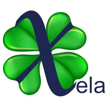 Logo von Xela Automatic Instalation